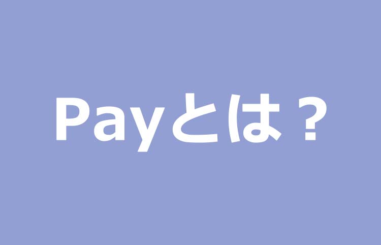 超初心者でもわかる「Payとは」？安全なの？どこで使えるの？気になる～